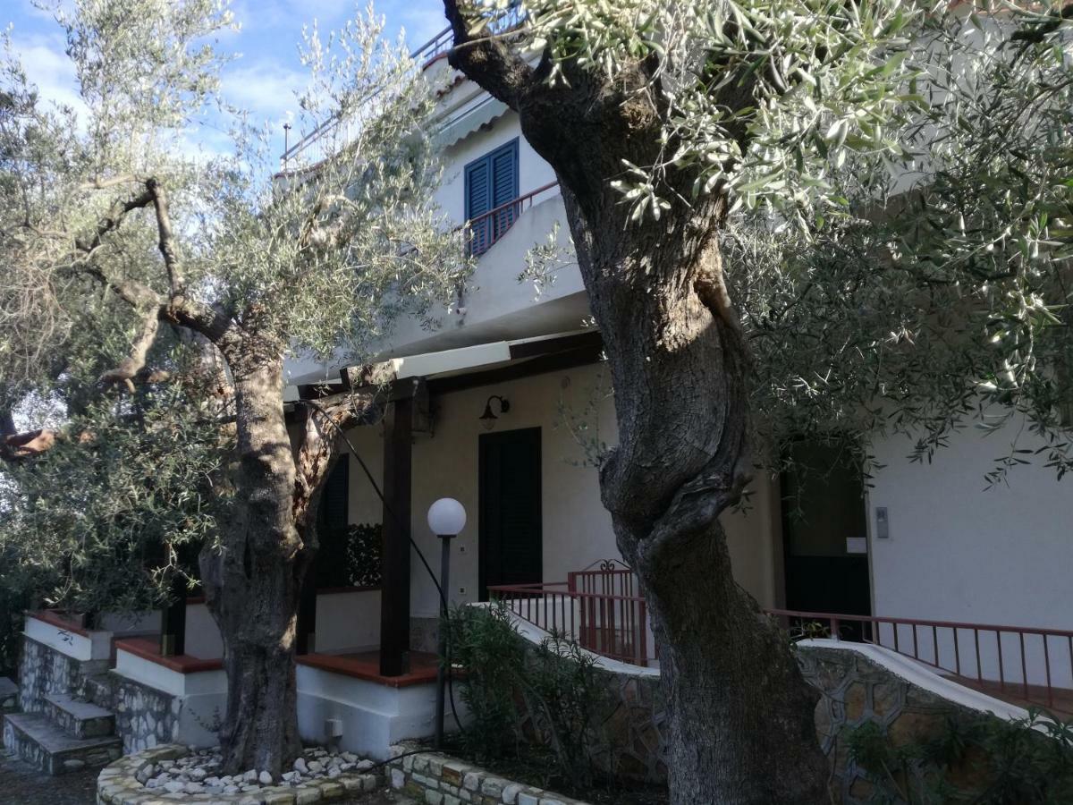 Villa Anna Residence Rodi Rodi Garganico Bagian luar foto
